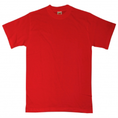 PE T-Shirt (All colours) – Crested School Wear