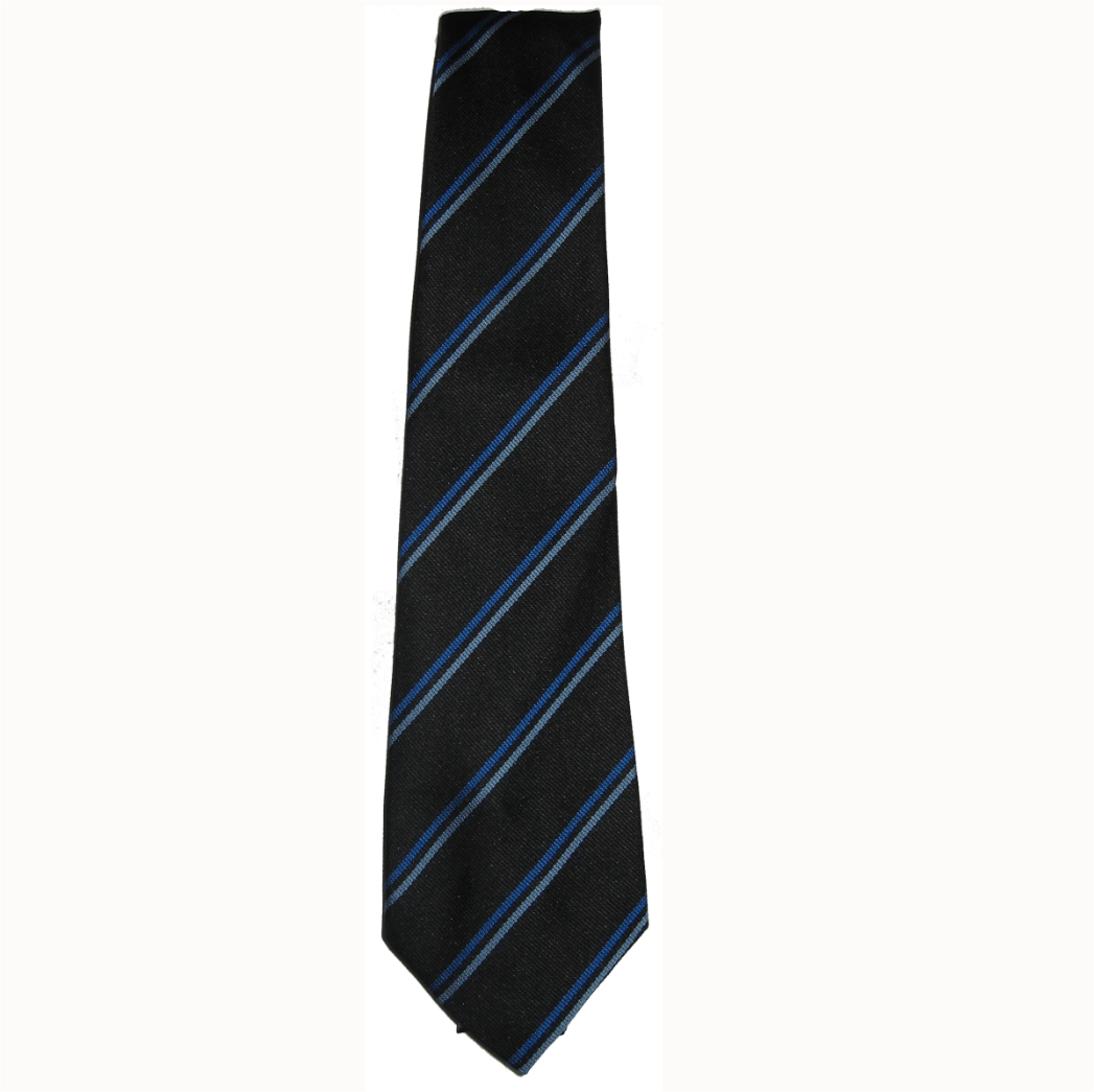 The Weston Road Academy Tie – Crested School Wear