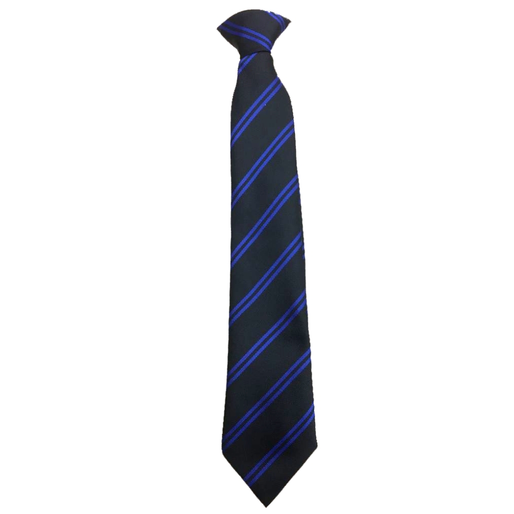 Erasmus Darwin Blue House Tie (Twickenham) Compulsory – Crested School Wear