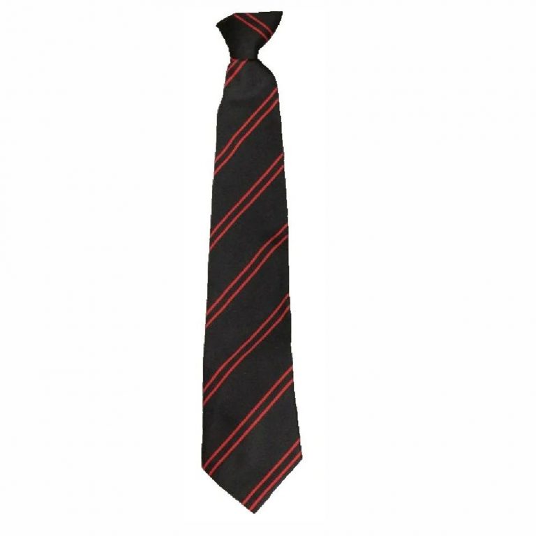 Arthur Terry Year Tie – Crested School Wear